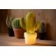 Lucide CACTUS - Lampe de table - 1xE14 - Vert 