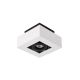 Lucide XIRAX - Spot plafond - LED Dim to warm - GU10 - 1x5W 2200K/3000K - Blanc 